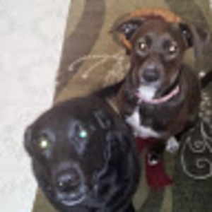 Meet your Posher, Jackie